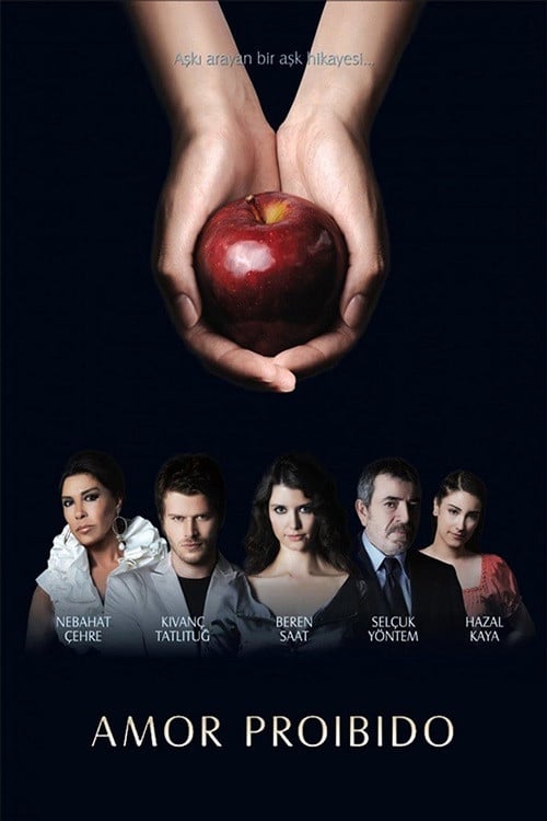 Aşk-ı Memnu - 2008