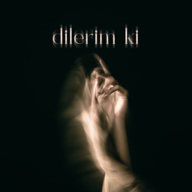 Dilerim Ki - Track · Dolu Kadehi Ters Tut