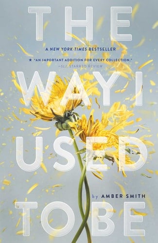 The Way I Used to Be - Amber Smith · 2016