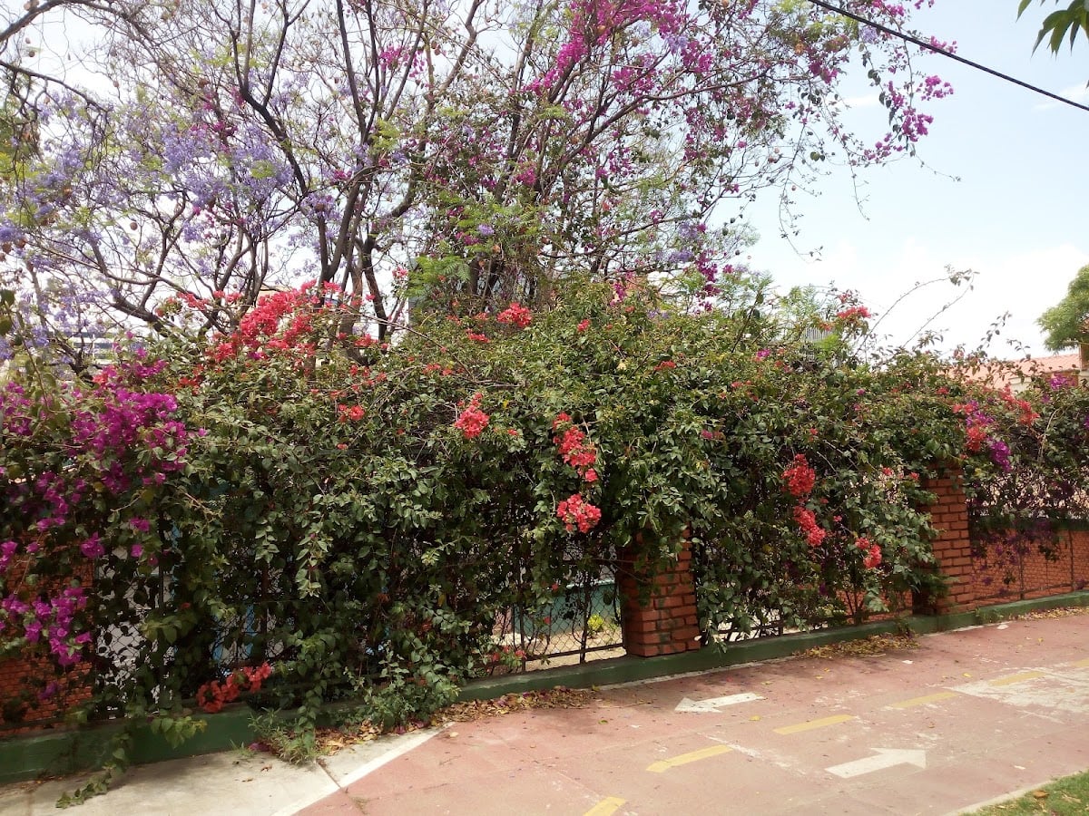 Eduardo Laredo College - Tiene un espacio teatral, capacidad para unas 200 personas.