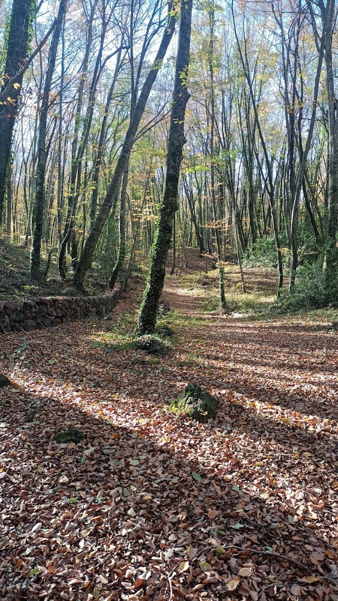 La Fageda d'en Jordà