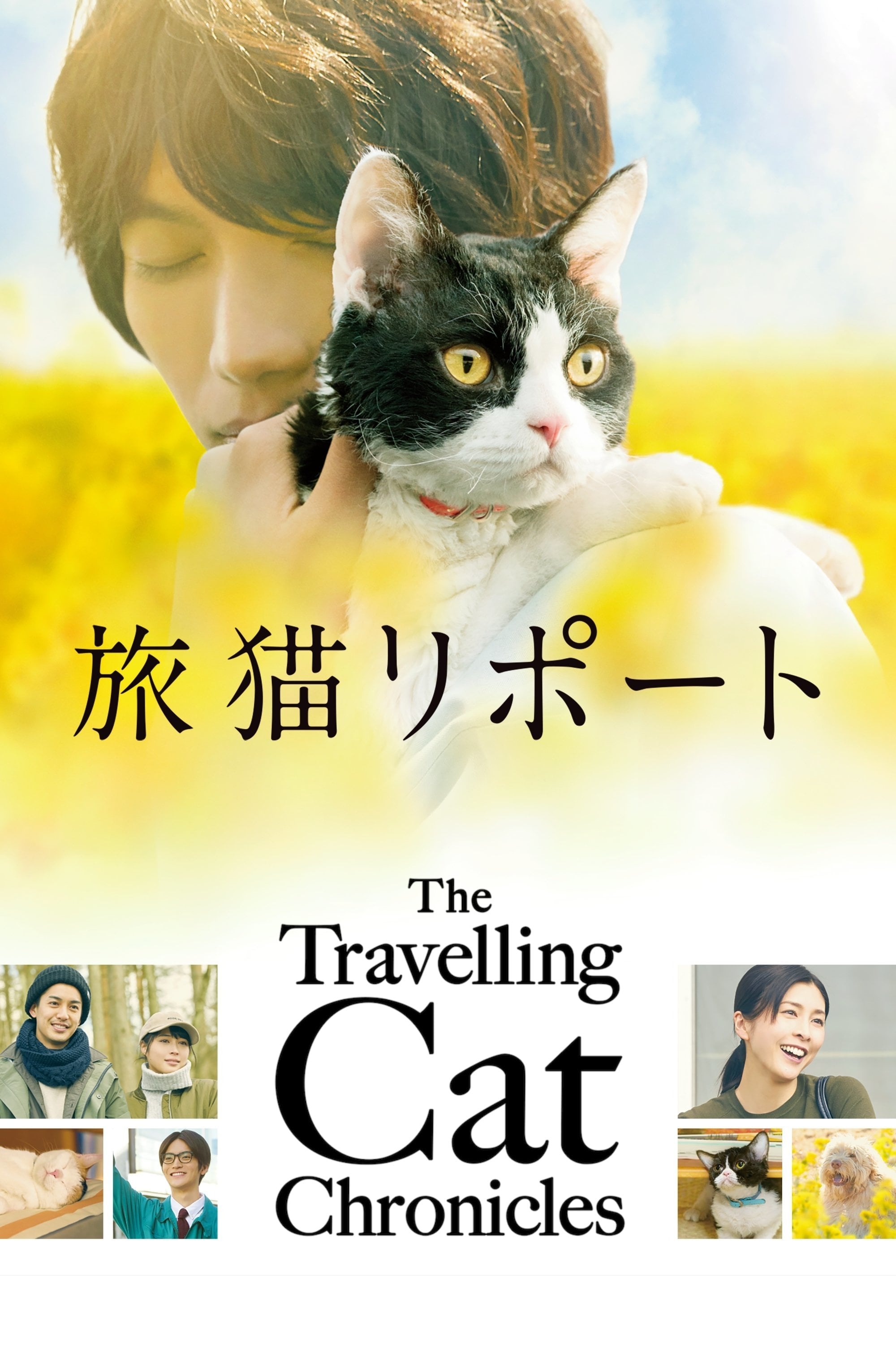 The Travelling Cat Chronicles - Koichiro Miki · 2018