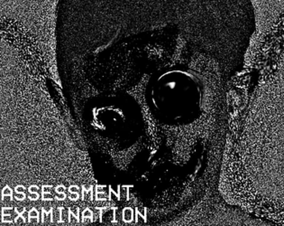 Assessment Examination - PC (Microsoft Windows) - Web browser