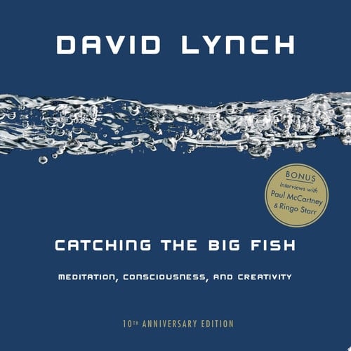 Catching the Big Fish Meditation, Consciousness, and Creativity: 10th Anniversary Edition - David Lynch · 2016