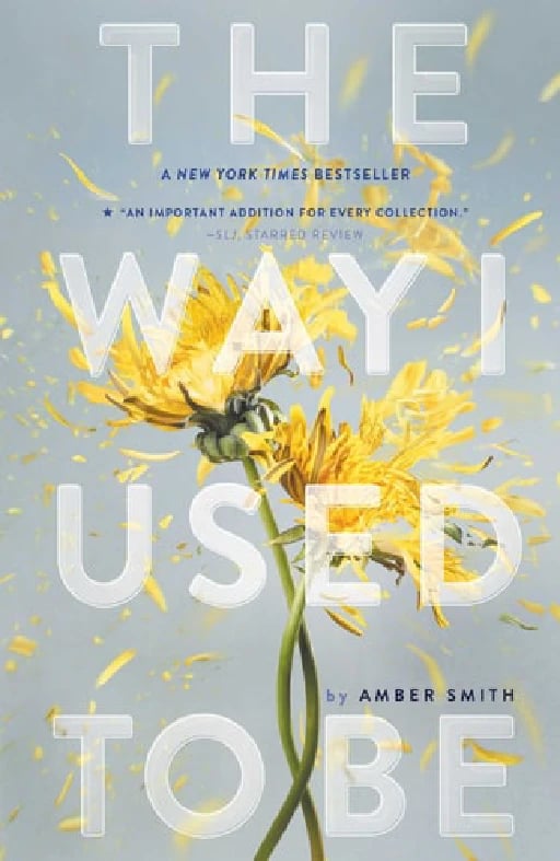 The Way I Used to Be - Amber Smith • 2017