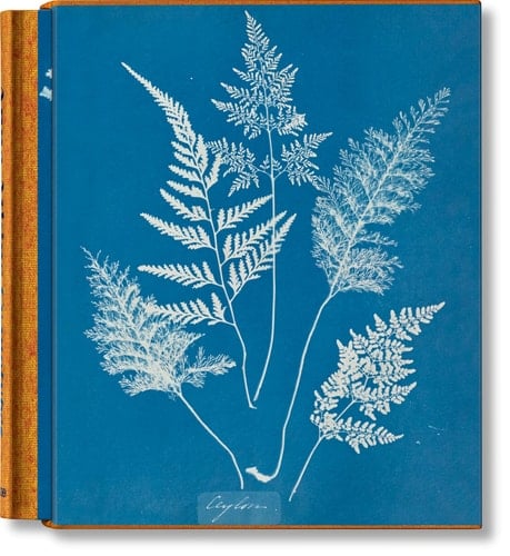 Anna Atkins Cyanotypes - Peter Walther · 2023