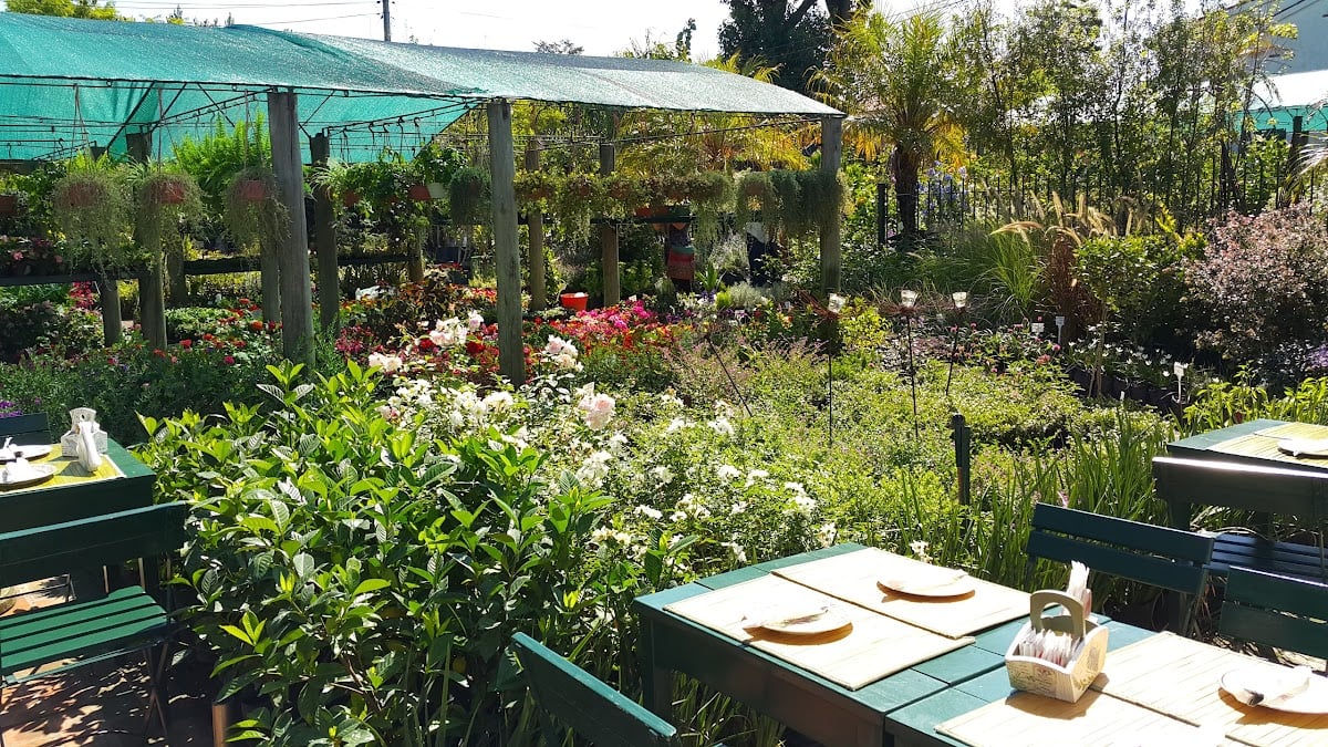 Lavender Tea Room