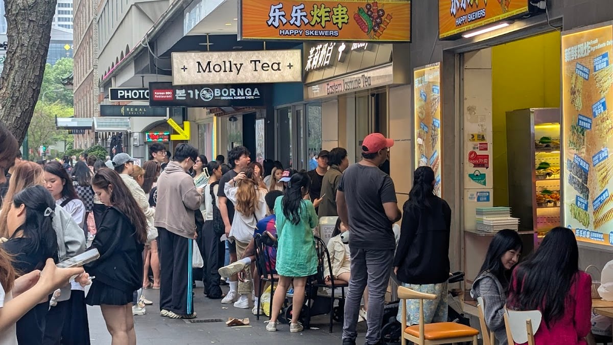 Molly Tea (Darling Square)