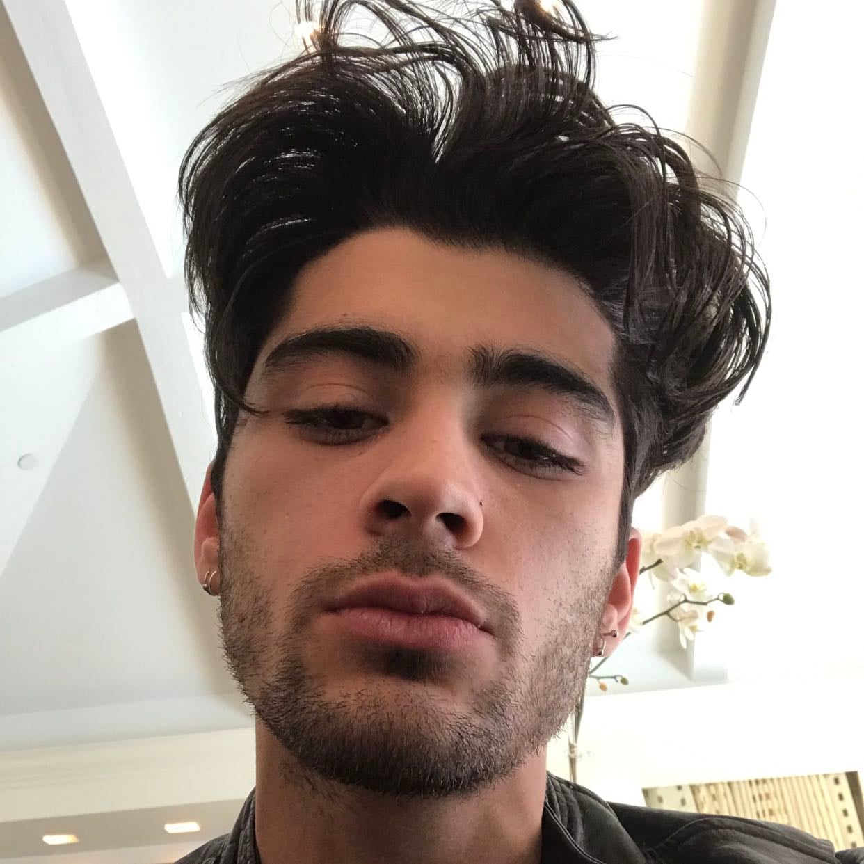 2017 zayn