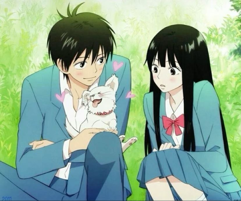 Kimi ni Todoke - 2009