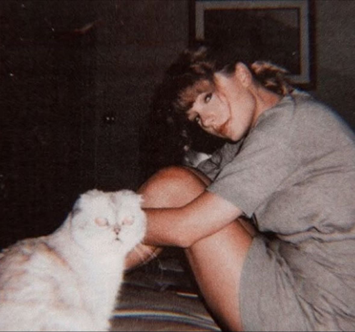 top 5 songs from each taylor album
