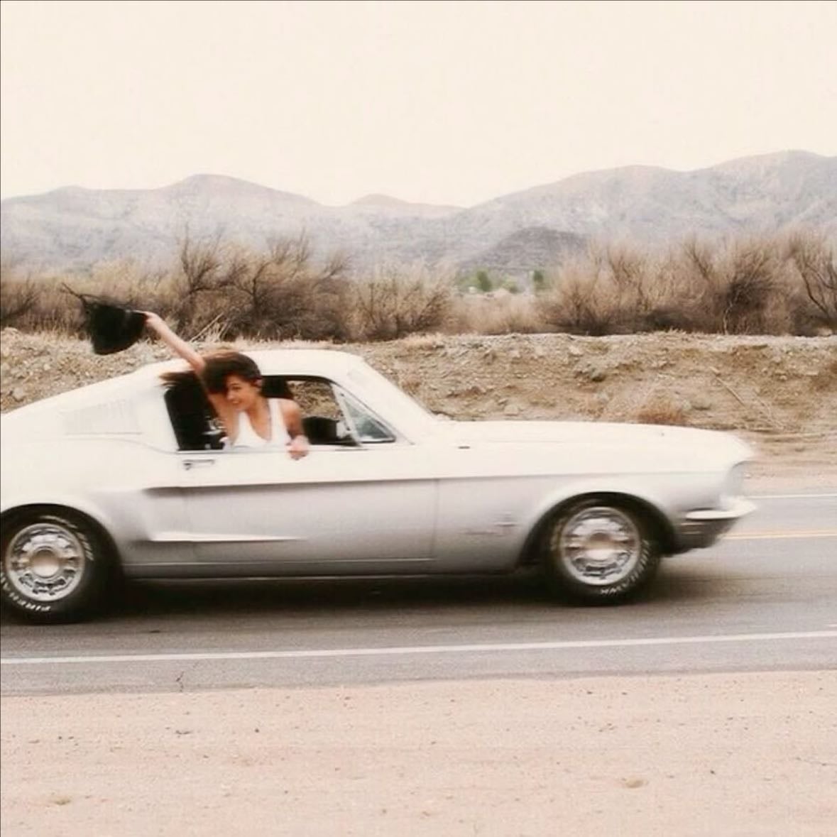 white mustang