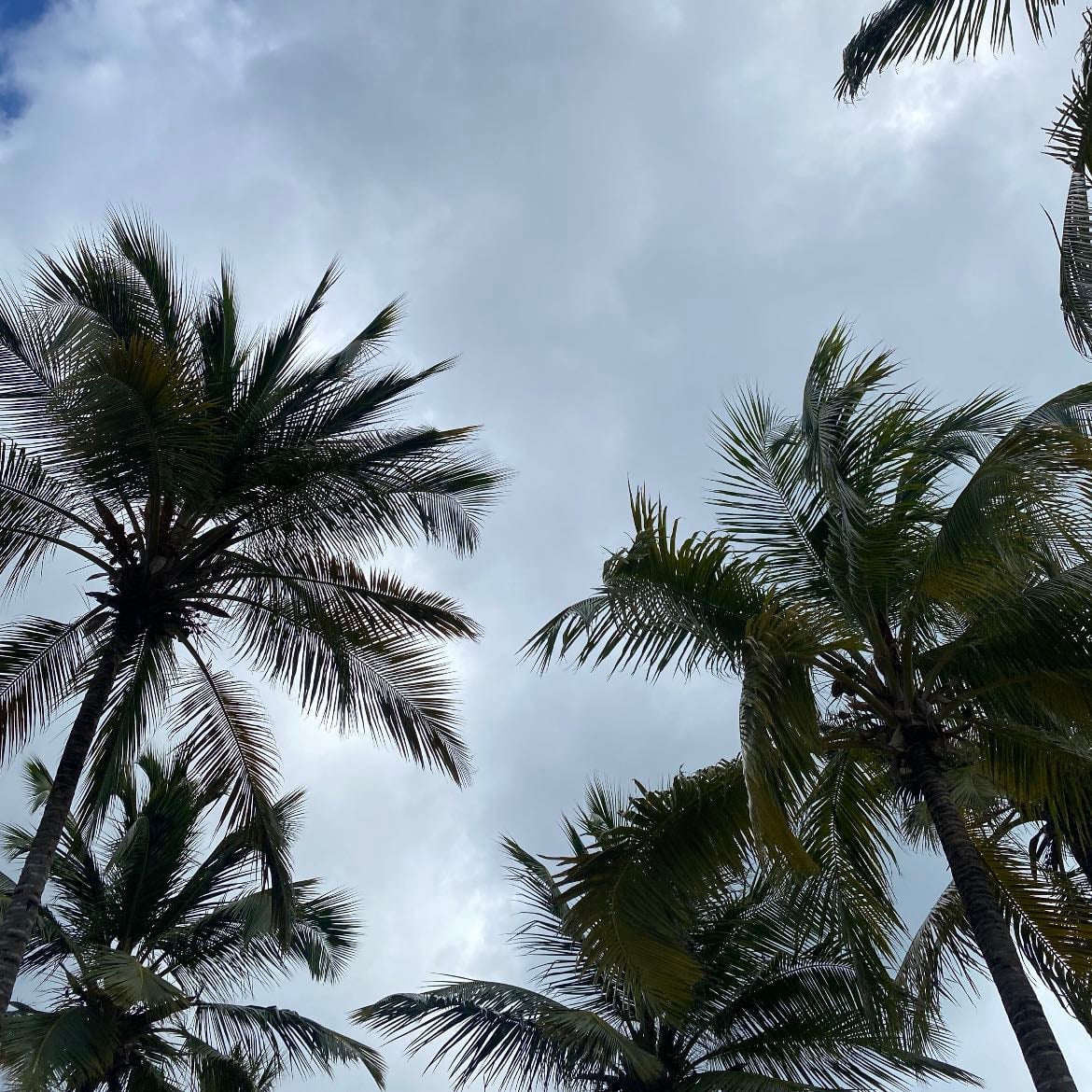 Beach. - January. 2025