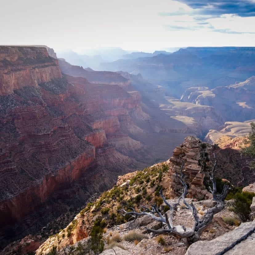 The Grand Canyon