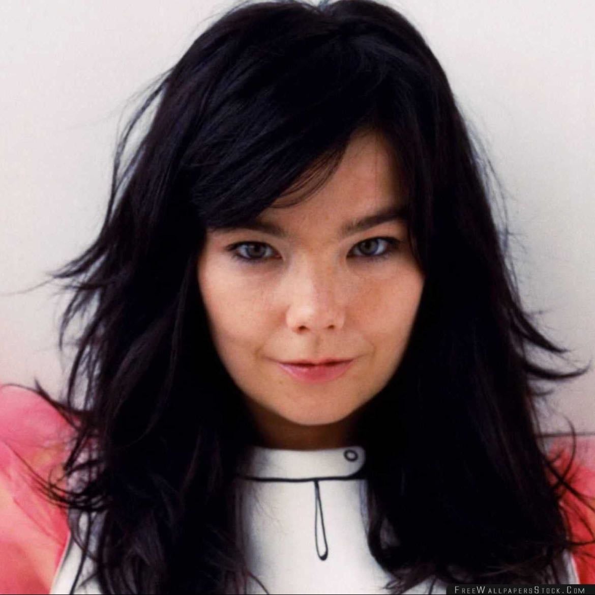 Björk - Artist