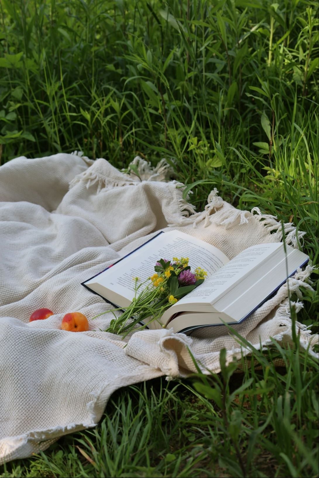 Bring a blanket to a meadow