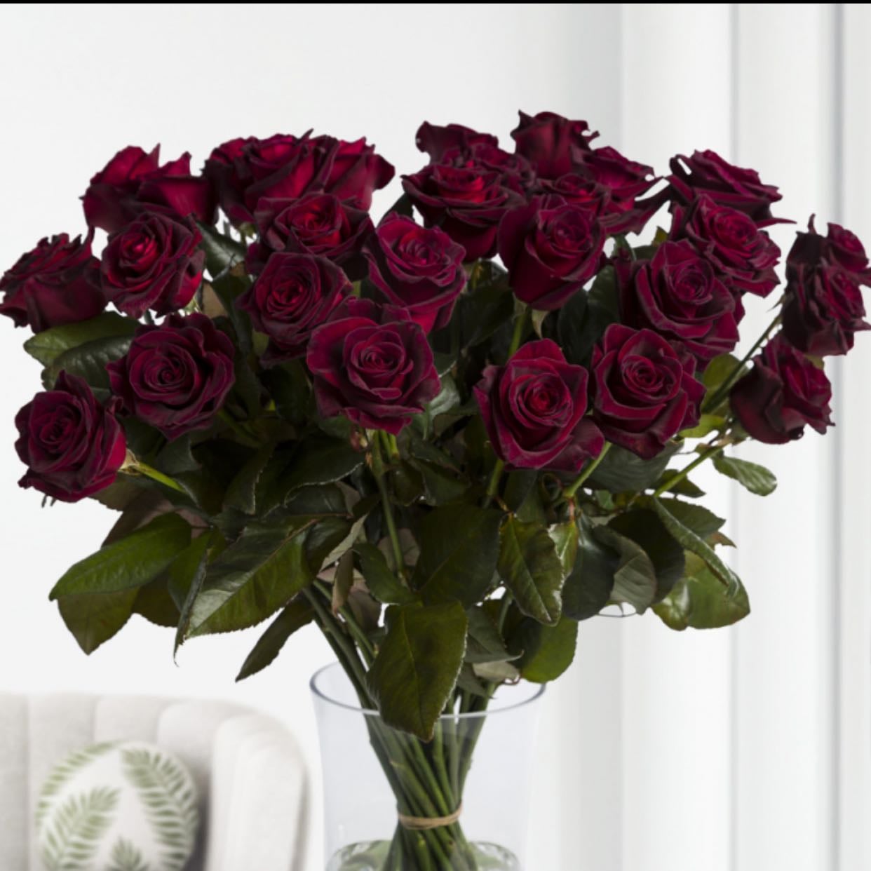Flowers 🥀 - Flowers that she can dry