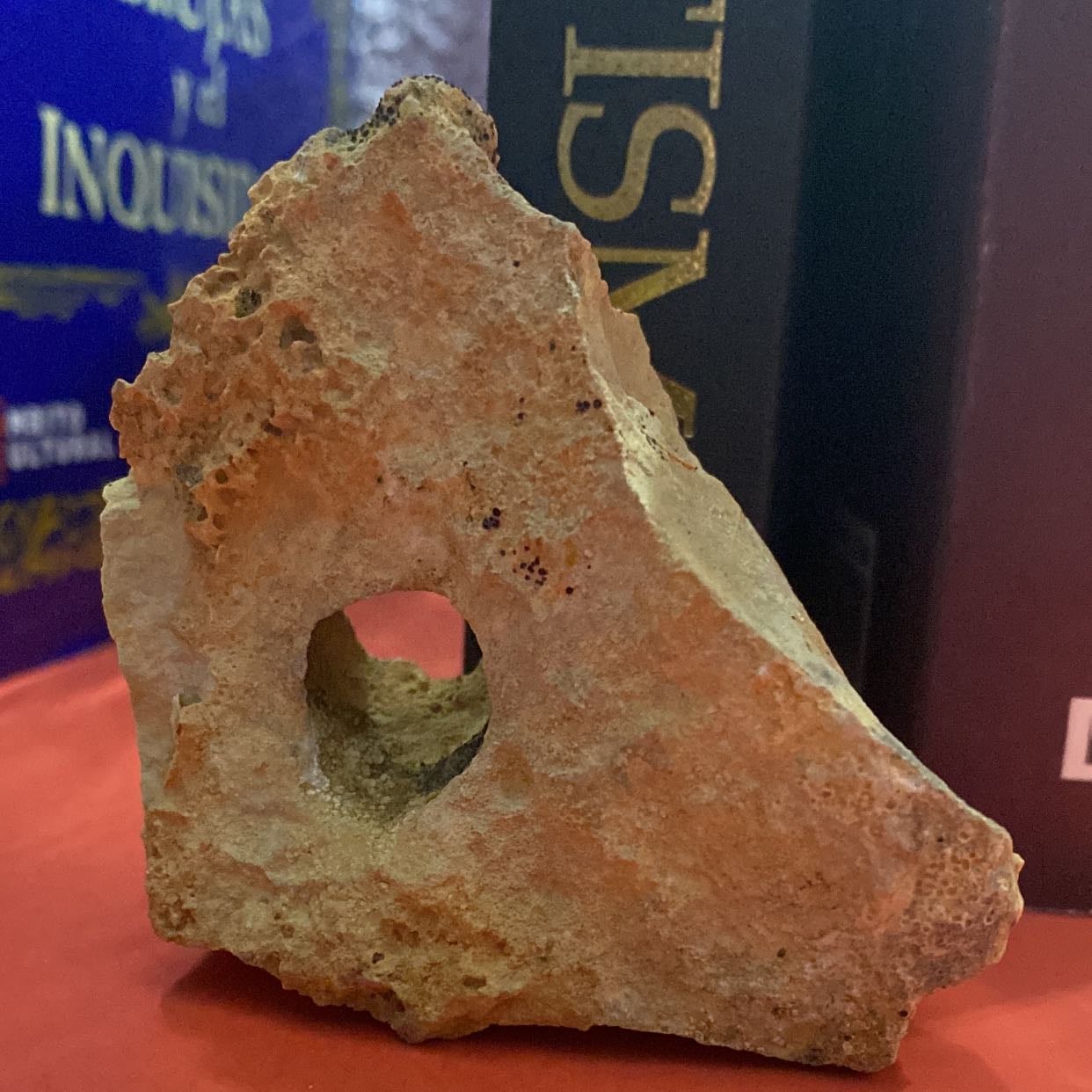 A cute rock that you see - Rocks that have a hole in it are said to bring good luck!
