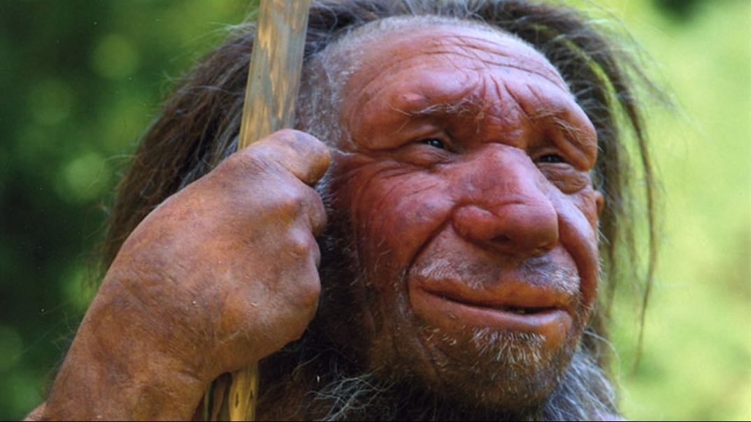 El misterio del ADN neandertal