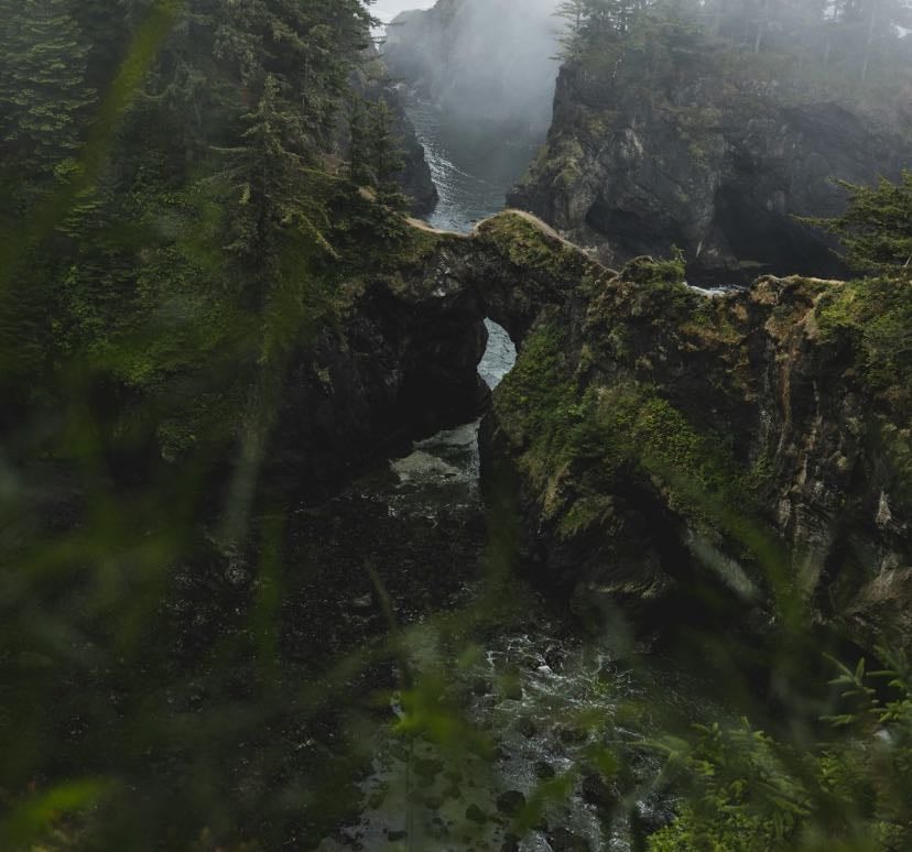 oregon trip🌲