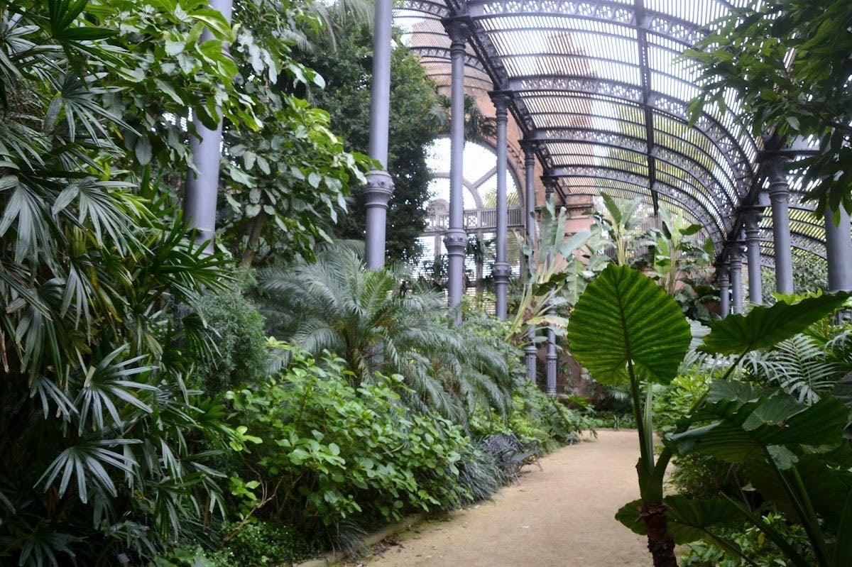 Umbracle del Parc de la Ciutadella