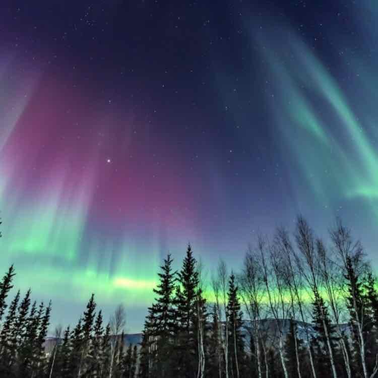 See the northern lights