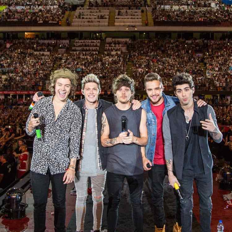 Go to one direction reunion concert