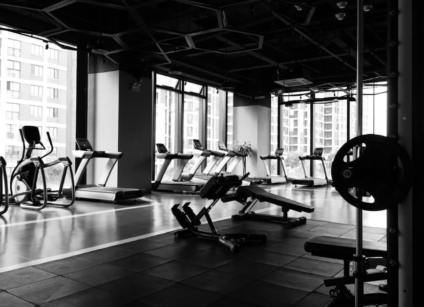 Gym rutine