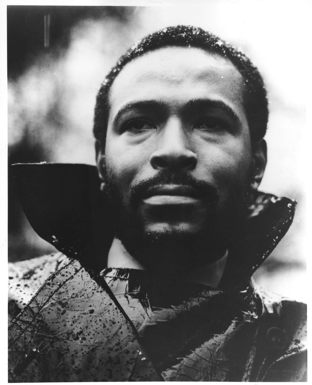 Marvin Gaye - Artist