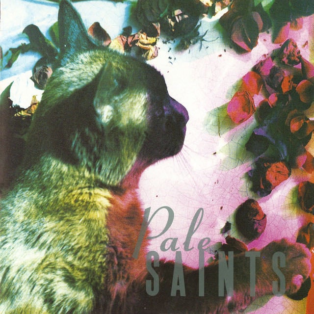 The Comforts of Madness - Album · Pale Saints