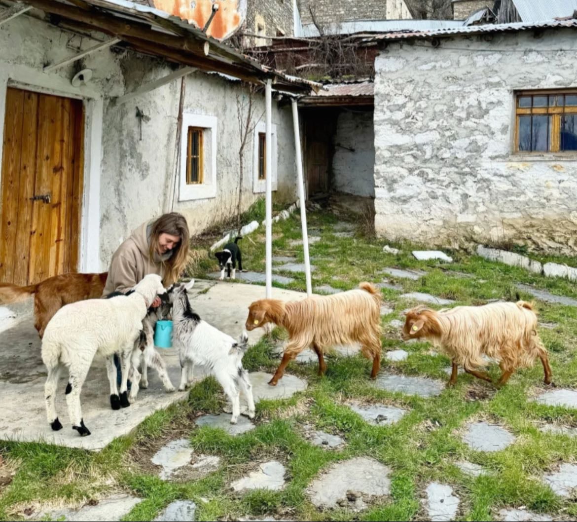 Golden Goat Guesthouse - Experience goat herding in beautiful mountains