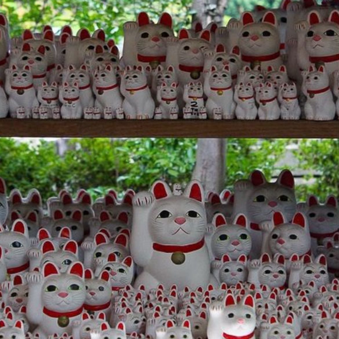 Gotokuji temple - The famous lucky cat temple