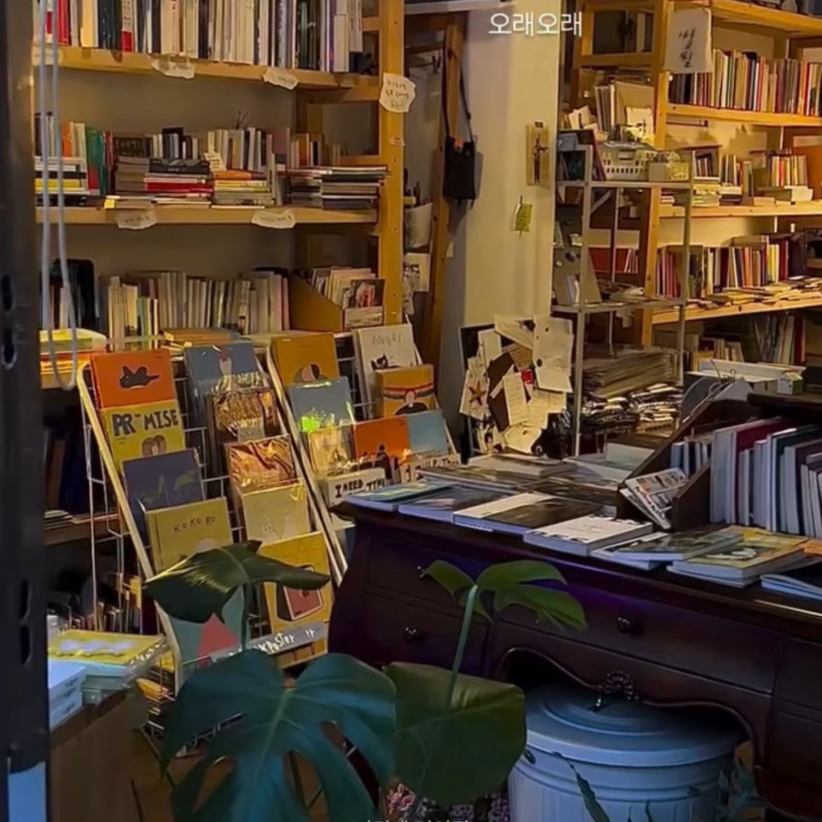 Earthfire installation - Bookstore cafe • Korea
