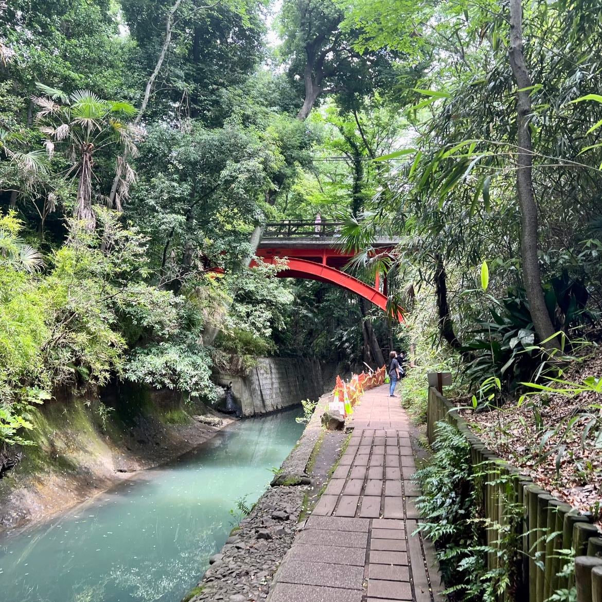 Todoroki valley - Unspoiled unpopular nature spot in central Tokyo