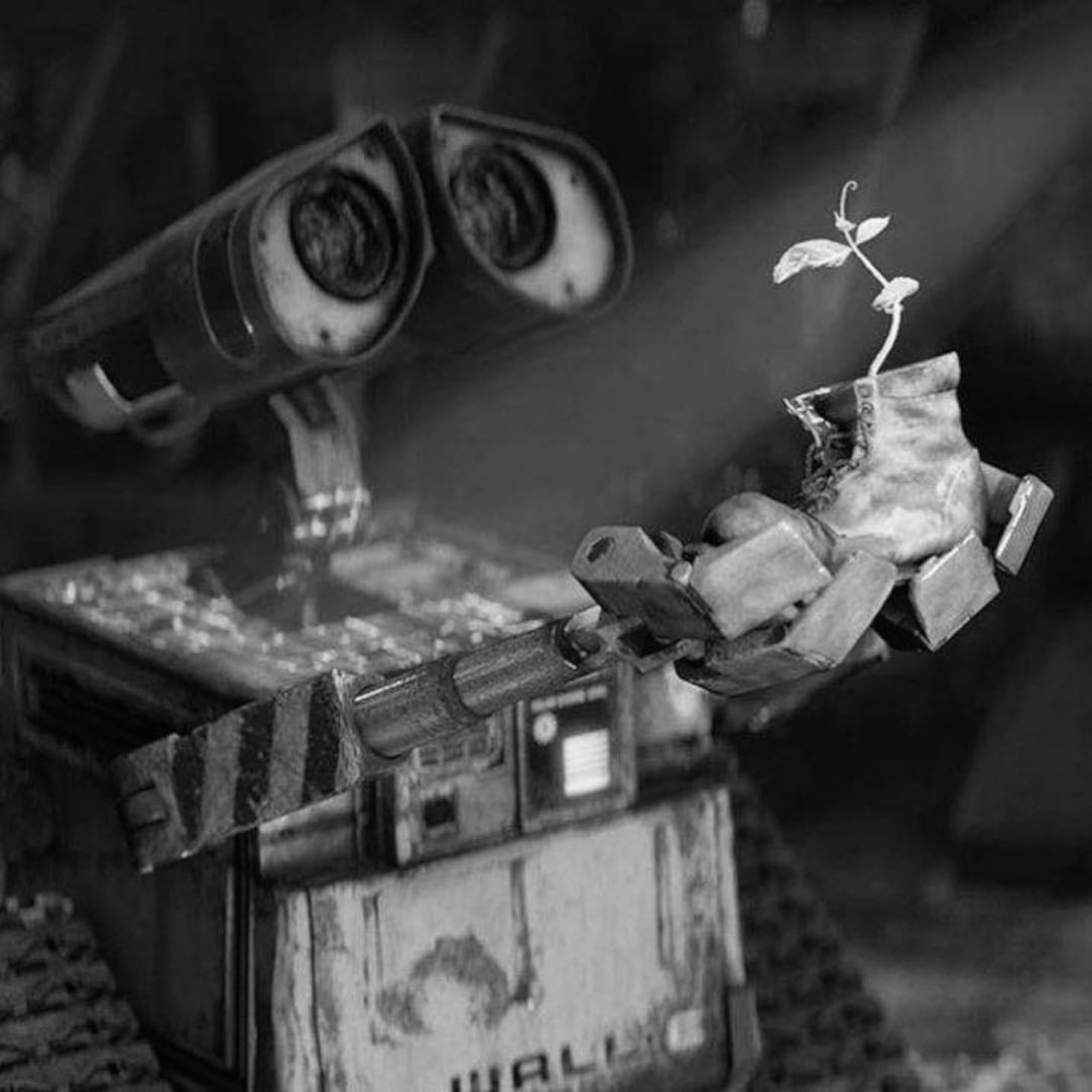 wall-e - Andrew Stanton · 2008