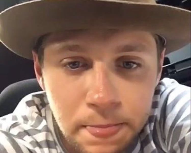 Niall songs from each album I want to hear at my concert‼️ - Music hypelist by Chloe🇮🇪🤟🍺🍀🌸