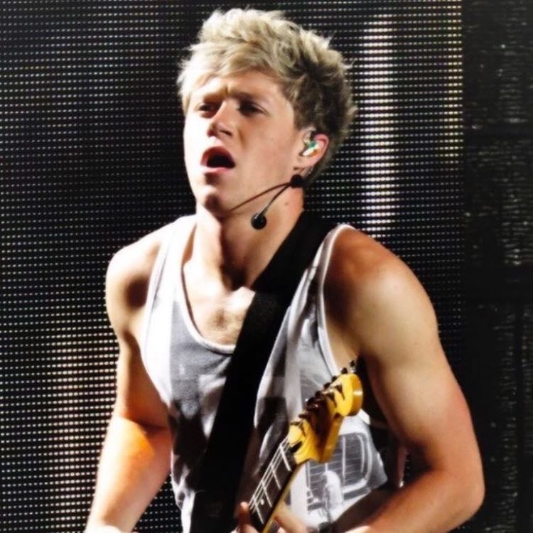 Frat boy Niall - No need to explain…