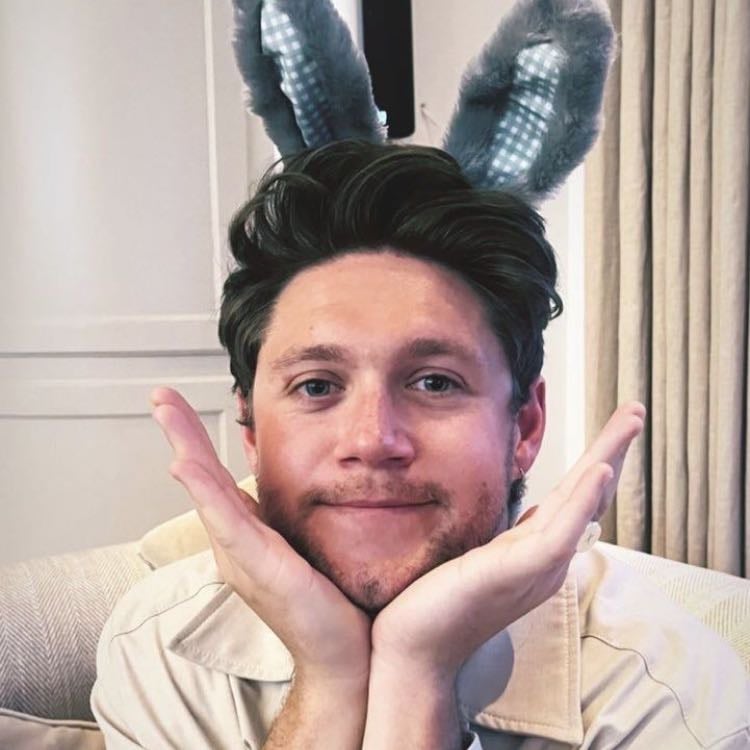 NIALLL๐ - The bunny ears are literally everythinggg hesโs so cutee