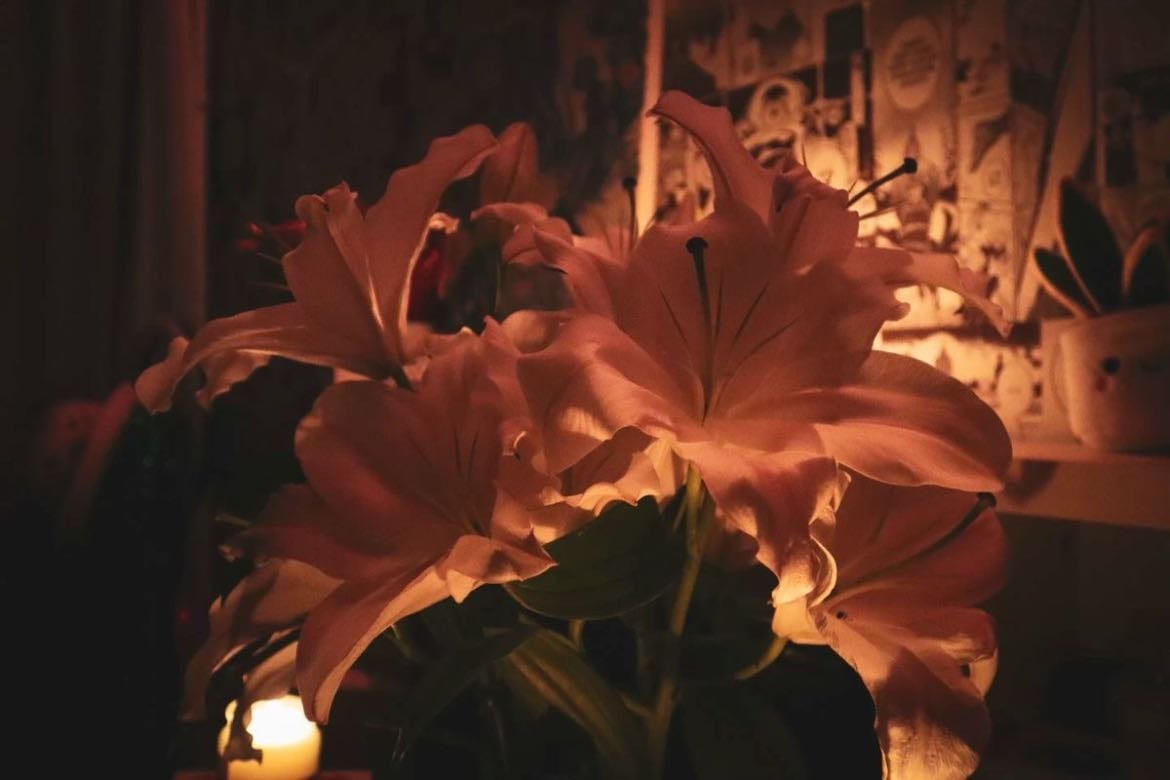 “the world was on fire, and no one could save me but you” - wicked game - chris isaak