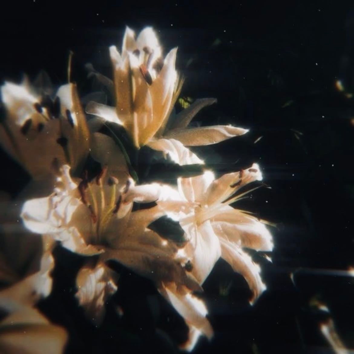 “a falling star fell from your heart and landed in my eyes” - cosmic love - florence + the machine