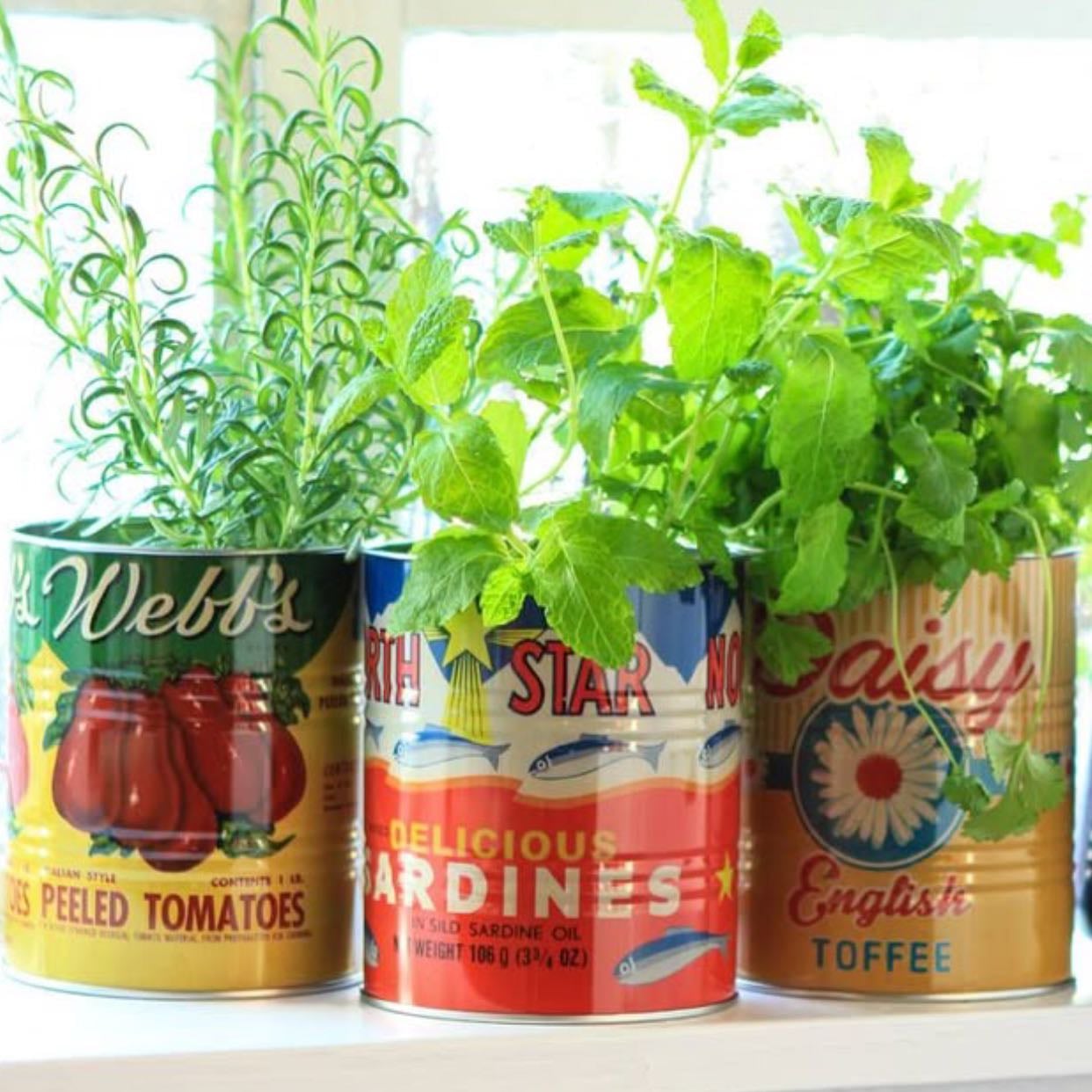 upcycle tins/jars