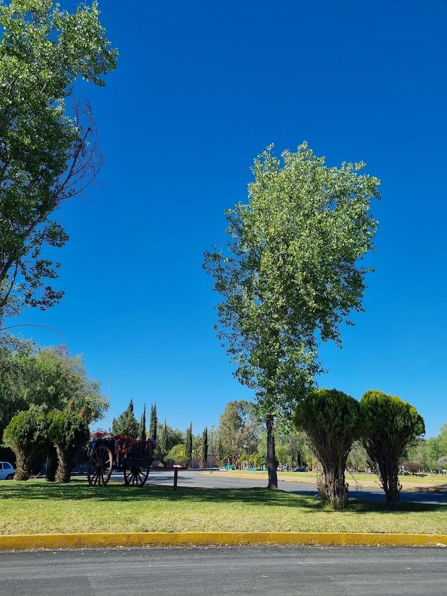 Parque Tangamanga I
