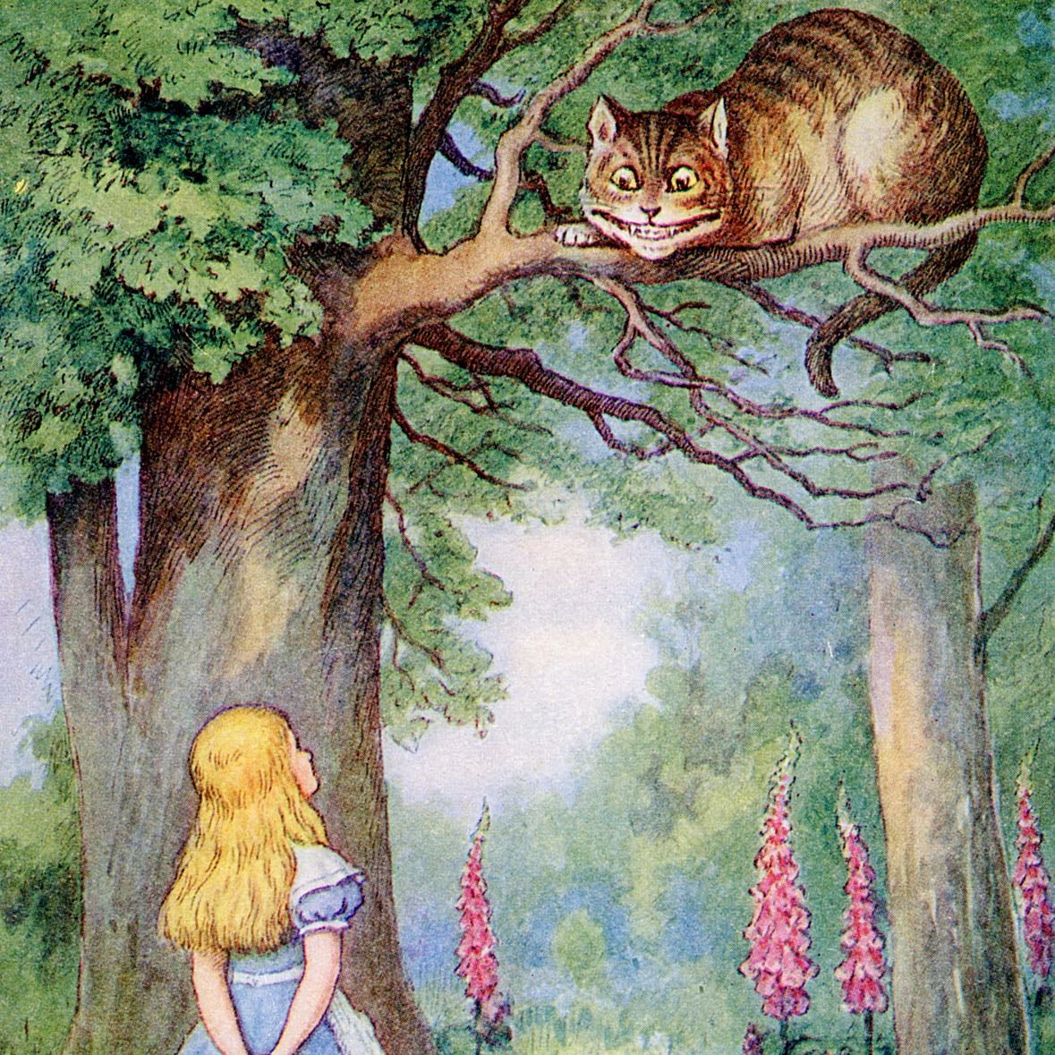 Cheshire Cat