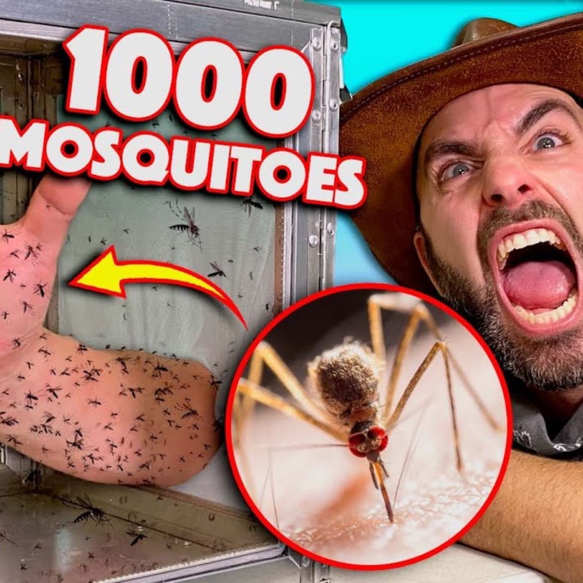 attacked by mosquitoes - im allergic to mosquitoes