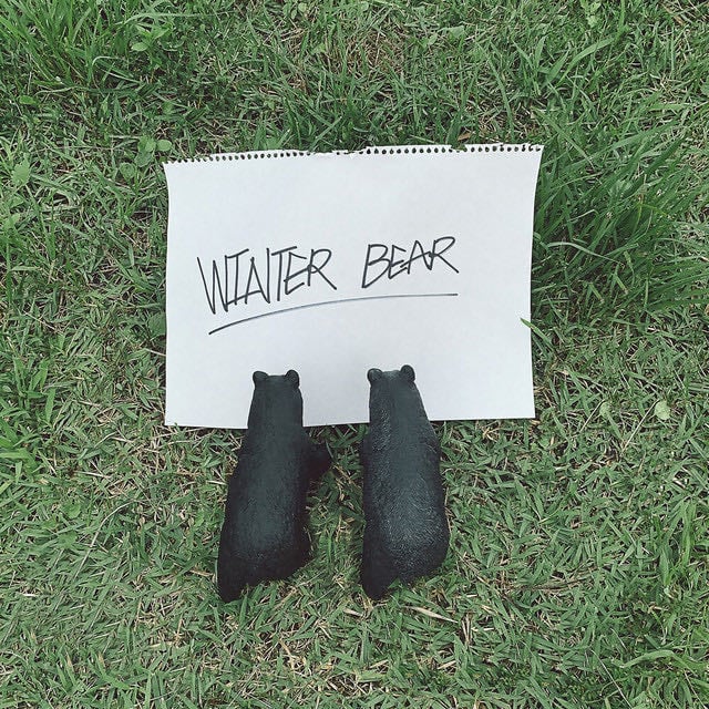 Winter Bear - Album · V