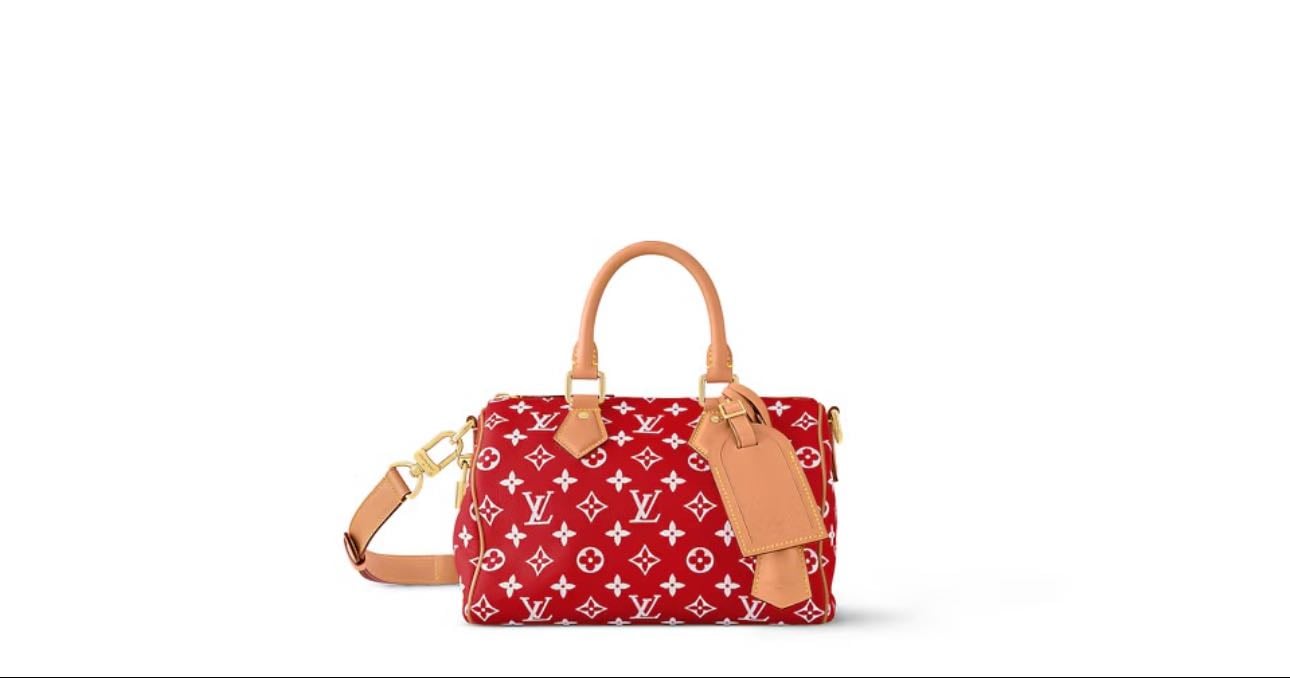 Louis Vuitton Speedy P9