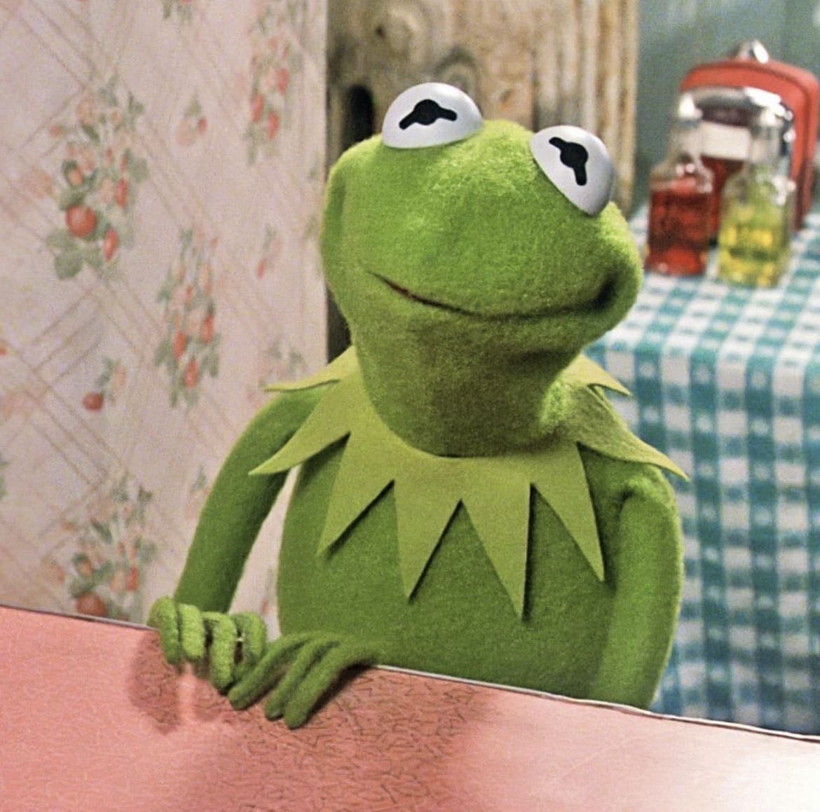 ✦ Kermit - The Muppets