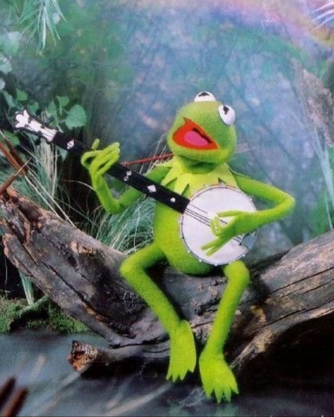 The Muppets - “What’s so amazing that keeps us stargazing?, and what do we think we might see?”