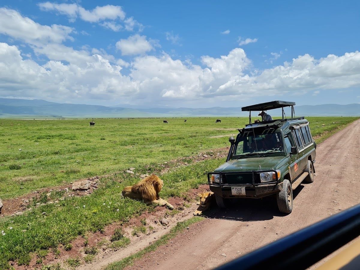 Cratère du Ngorongoro