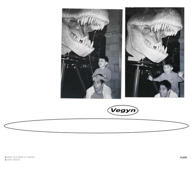 Only Diamonds Cut Diamonds - Album · Vegyn